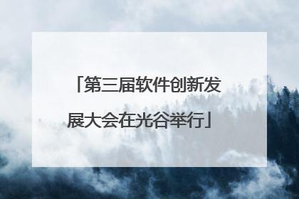 第三届软件创新发展大会在光谷举行