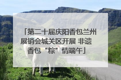 第二十届庆阳香包兰州展销会城关区开展 非遗香包“粽”情端午