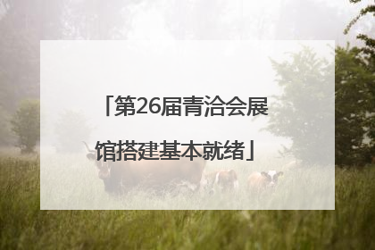 第26届青洽会展馆搭建基本就绪