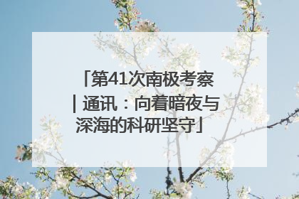第41次南极考察｜通讯：向着暗夜与深海的科研坚守