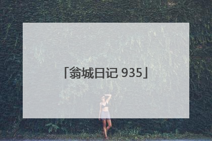 翁城日记 935