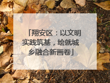 翔安区：以文明实践筑基，绘就城乡融合新画卷