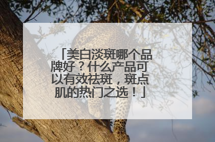美白淡斑哪个品牌好？什么产品可以有效祛斑，斑点肌的热门之选！