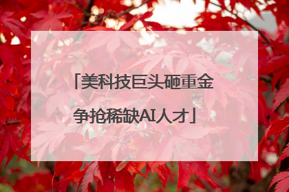 美科技巨头砸重金争抢稀缺AI人才