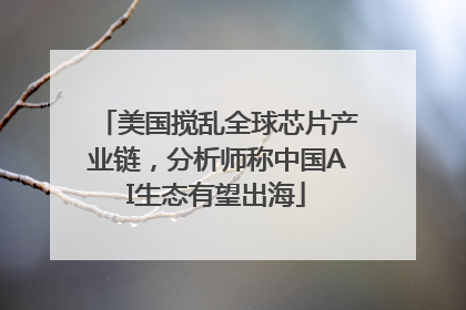 美国搅乱全球芯片产业链，分析师称中国AI生态有望出海