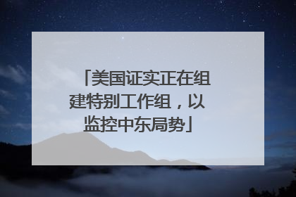 美国证实正在组建特别工作组，以监控中东局势