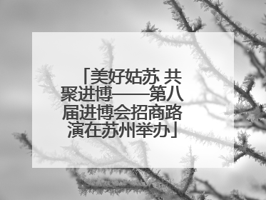 美好姑苏 共聚进博——第八届进博会招商路演在苏州举办