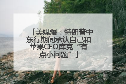 美媒爆：特朗普中东行期间承认自己和苹果CEO库克“有点小问题”