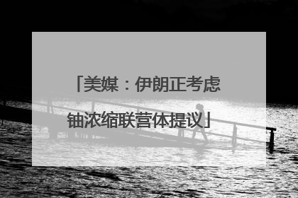 美媒：伊朗正考虑铀浓缩联营体提议