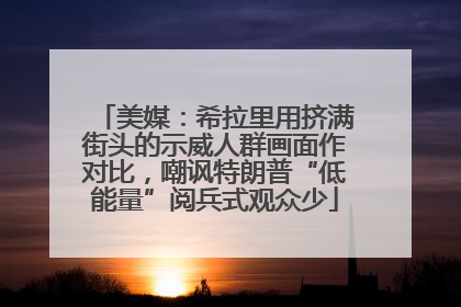 美媒：希拉里用挤满街头的示威人群画面作对比，嘲讽特朗普“低能量”阅兵式观众少