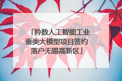羚数人工智能工业垂类大模型项目签约落户无锡高新区