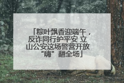 粽叶飘香迎端午，反诈同行护平安 立山公安这场警营开放“嗨”翻全场