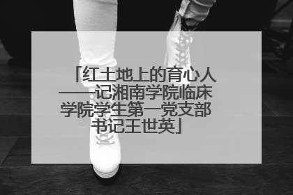 红土地上的育心人——记湘南学院临床学院学生第一党支部书记王世英