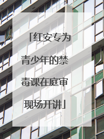 红安专为青少年的禁毒课在庭审现场开讲