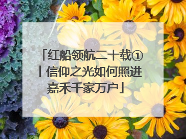 红船领航二十载①丨信仰之光如何照进嘉禾千家万户