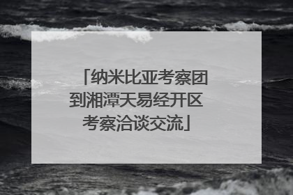 纳米比亚考察团到湘潭天易经开区考察洽谈交流