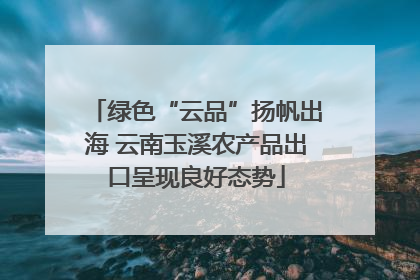 绿色“云品”扬帆出海 云南玉溪农产品出口呈现良好态势