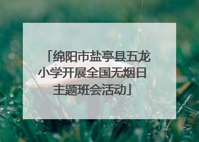 绵阳市盐亭县五龙小学开展全国无烟日主题班会活动