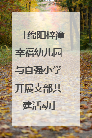 绵阳梓潼幸福幼儿园与自强小学开展支部共建活动