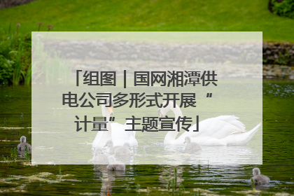 组图｜国网湘潭供电公司多形式开展“计量”主题宣传