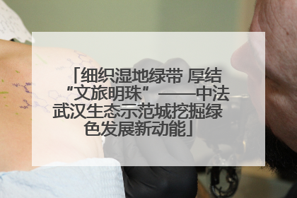细织湿地绿带 厚结“文旅明珠”——中法武汉生态示范城挖掘绿色发展新动能