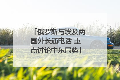 俄罗斯与埃及两国外长通电话 重点讨论中东局势