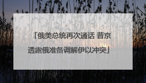 俄美总统再次通话 普京透露俄准备调解伊以冲突