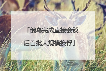 俄乌完成直接会谈后首批大规模换俘