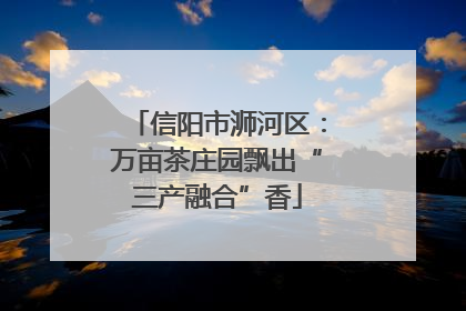 信阳市浉河区：万亩茶庄园飘出“三产融合”香