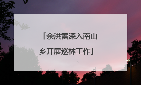 余洪雷深入南山乡开展巡林工作