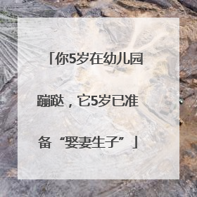你5岁在幼儿园蹦跶，它5岁已准备“娶妻生子”