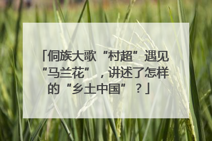 侗族大歌“村超”遇见“马兰花”，讲述了怎样的“乡土中国”？