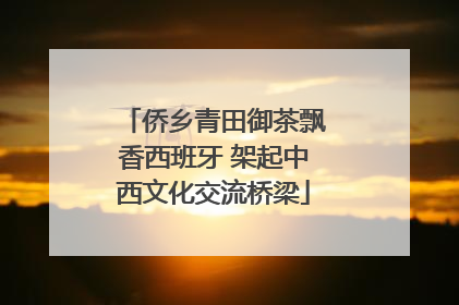 侨乡青田御茶飘香西班牙 架起中西文化交流桥梁