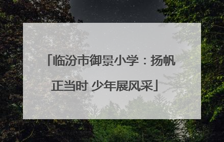 临汾市御景小学：扬帆正当时 少年展风采