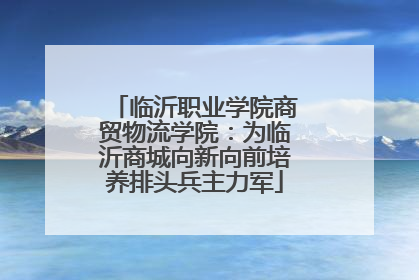 临沂职业学院商贸物流学院：为临沂商城向新向前培养排头兵主力军