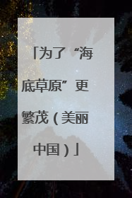 为了“海底草原”更繁茂（美丽中国）