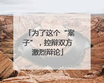 为了这个“案子”，控辩双方激烈辩论