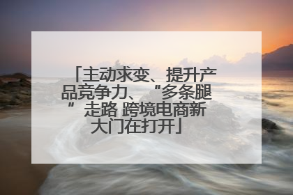 主动求变、提升产品竞争力、“多条腿”走路 跨境电商新大门在打开