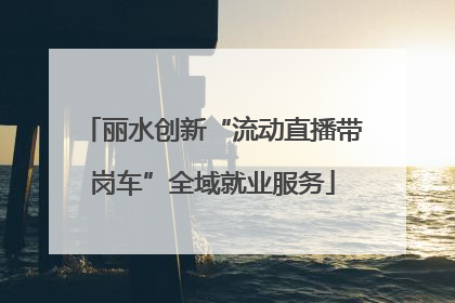 丽水创新“流动直播带岗车”全域就业服务