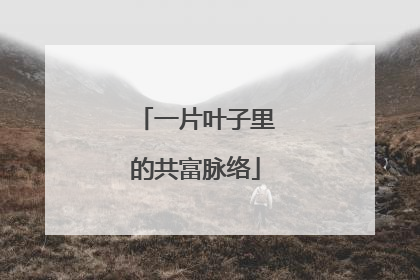 一片叶子里的共富脉络