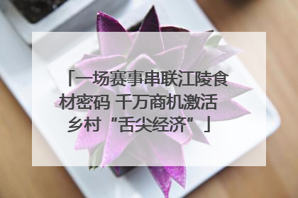 一场赛事串联江陵食材密码 千万商机激活乡村“舌尖经济”
