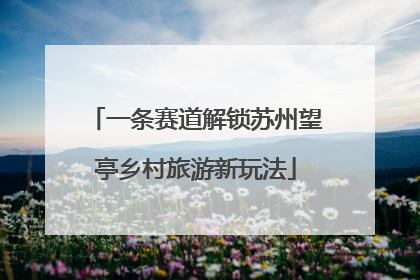 一条赛道解锁苏州望亭乡村旅游新玩法