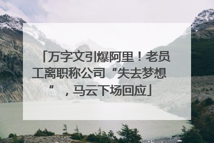 万字文引爆阿里！老员工离职称公司“失去梦想”，马云下场回应
