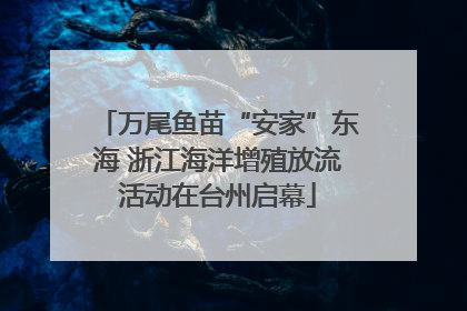 万尾鱼苗“安家”东海 浙江海洋增殖放流活动在台州启幕