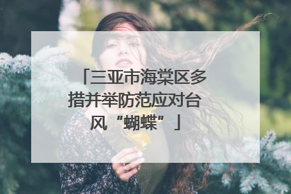 三亚市海棠区多措并举防范应对台风“蝴蝶”