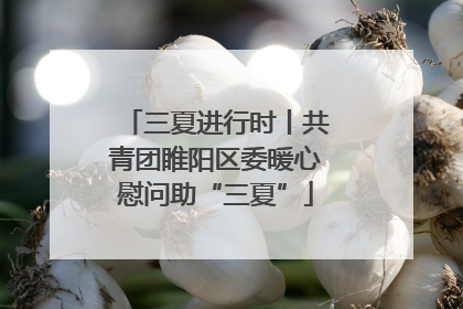 三夏进行时丨共青团睢阳区委暖心慰问助“三夏”