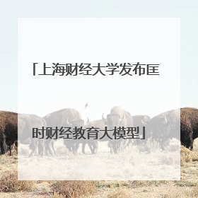 上海财经大学发布匡时财经教育大模型