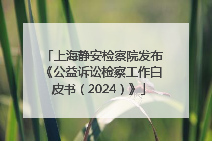 上海静安检察院发布《公益诉讼检察工作白皮书（2024）》