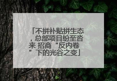 不拼补贴拼生态，总部项目纷至沓来 招商“反内卷”下的光谷之变