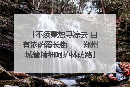 不须秉烛寻凉去 自有浓荫覆长街——郑州城管精细呵护林荫路